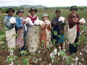 Agricultores associados à Coopnatural (Foto: Divulgação)