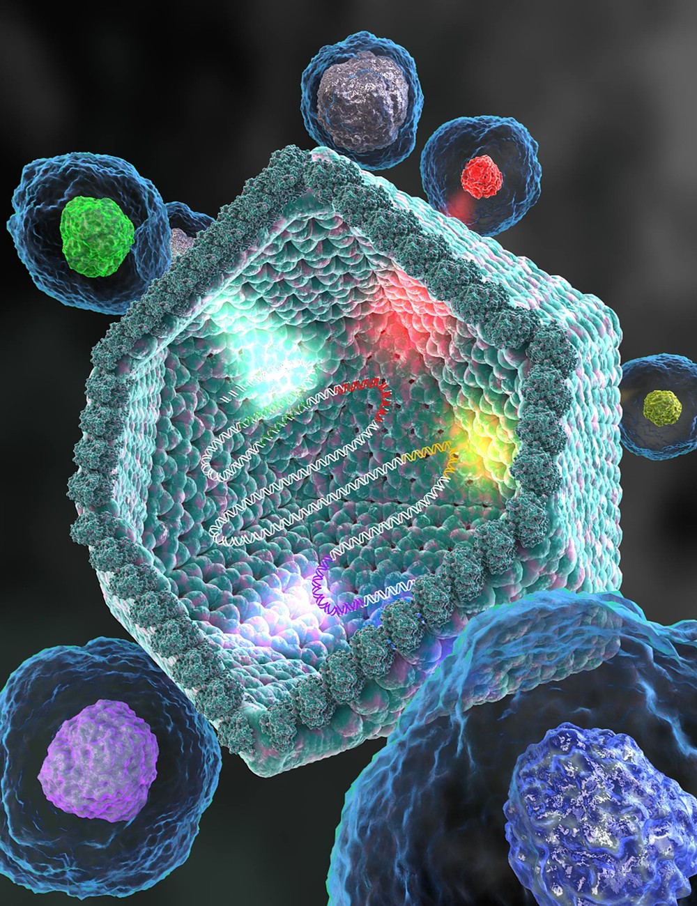Ilustração mostra como vírus gigante adquire genes de céulas hospedeiras. (Foto: Ella Maru studio/AAAS/Eurekalert)