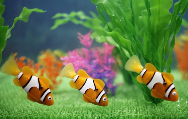 Uma feira de brinquedos que será aberta ao público no sábado (16) no Japão tem como destaque um peixinho robô que pode nadar em um aquário, imitando os peixes reais. Chamado de 'Robo Fish', ele foi criado pela fabricante japonesa Takara Tomy (Foto: Yuriko Nakao/Reuters)