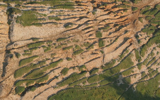Erosão do solo na região de Piracicaba, no interior de São Paulo (Foto: Ana Paula Hirama - Wikimedia Commons)