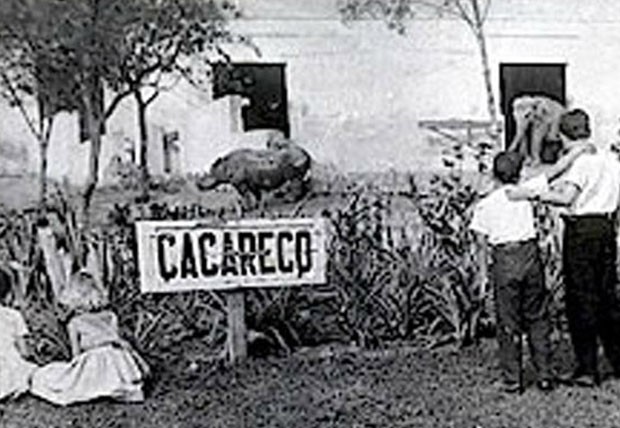 Na época da cédula de papel, o rinoceronte Cacareco recebeu cerca de 100 mil votos para vereador em São Paulo em 1959. (Foto: Reprodução)