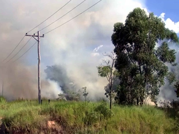 Bombeiros atenderam dez ocorrências de queimadas em um dia em Sorocaba (Foto: Reprodução/TV Globo)