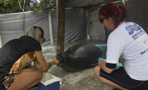 Vanessa Mesquita visita ONG de animais em Salvador (Foto: Lila Rios/ Divulgação)