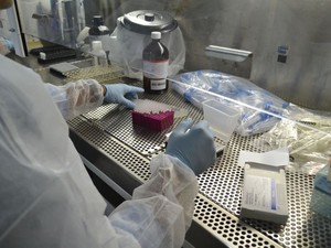 Amostras são preparadas para realização das primeiras análises na biologia molecular (Foto: Ascom/SES)