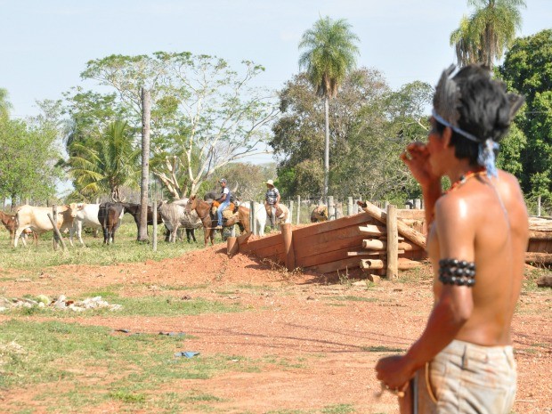 Trabalhadores retiram gado de área ocupada por índios em MS (Foto: Tatiane Queiroz/G1 MS)