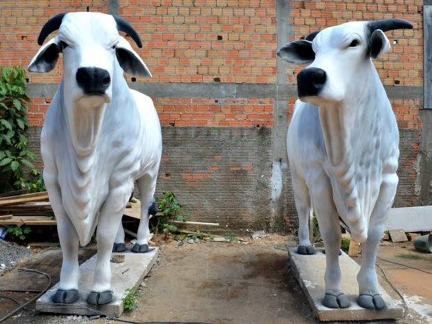 Luiz Carlos conta uqe começou a fazer pequenas esculturas de animais e daí não parou mais (Foto: Roger Henrique/G1)