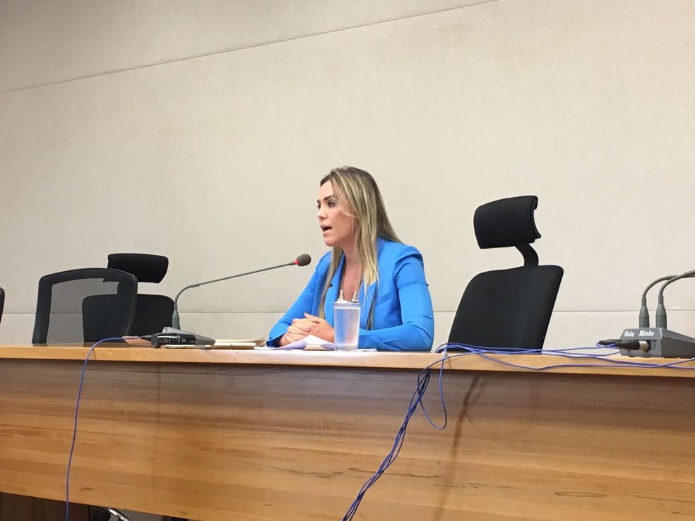 Celina Leão durante entrevista coletiva na Câmara Legislativa do DF (Foto: Gabriel Luiz/G1)