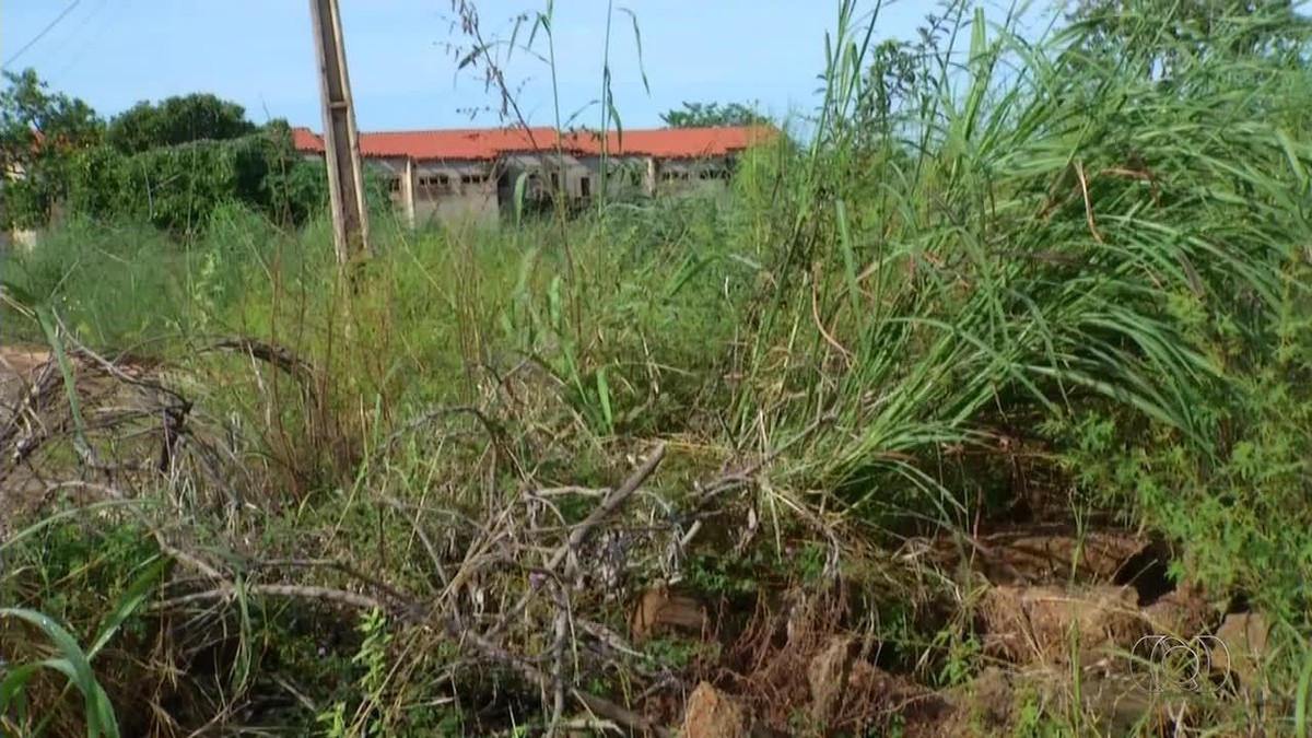 Após virar depósito de entulho, terreno acumula mato em quadra de Palmas - Globo.com