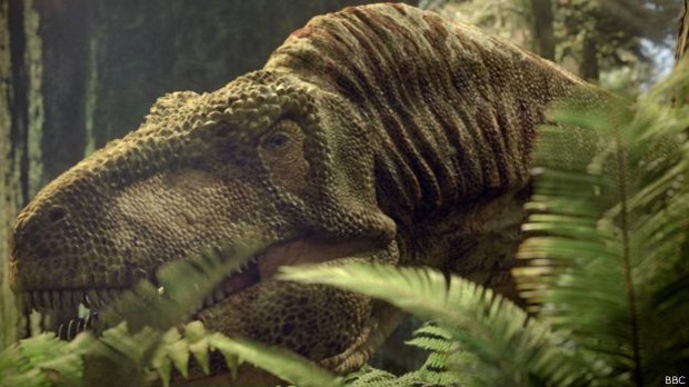 Antepassado do jacaré era predador do Tiranossauro Rex (Foto: BBC)