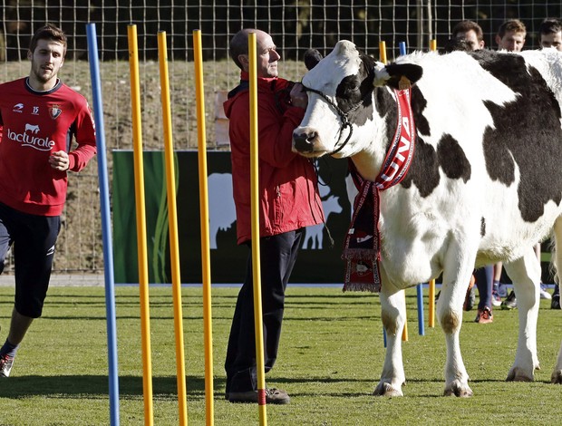 osasuna vaca (Foto: EFE)