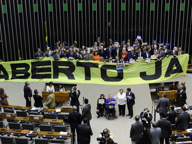 Deputados federais manifestam em prol da votação do Voto Aberto  (Foto: Laycer Tomaz/Câmara dos Deputados)