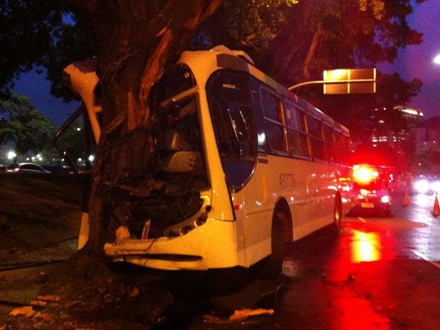 Ônibus atinge árvore na Avenida Rui Barbosa (Foto: José Raphael Berrêdo/G1)