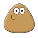 Pou