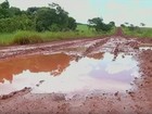 Estradas ruins deixam frete mais caro para escoar produção de soja em GO