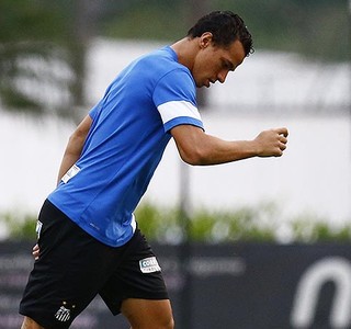 Leandro Damião Santos (Foto: Ricardo Saibun/Divulgação Santos FC)