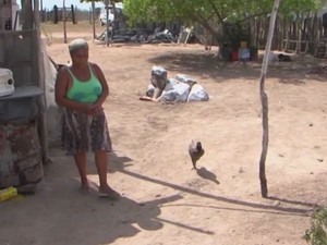 Agricultora diz que divide água de beber com galinhas em Feira de Santana (Foto: Reprodução/TV Subaé)