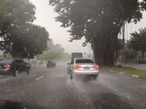 Chuva na região do Parque do Ibirapuera, em São Paulo (Foto: Paulo Toledo Piza ) Chuva na região do Parque do Ibirapuera, em São Paulo (Foto: Paulo Toledo Piza )