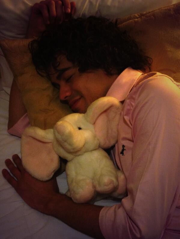 Sam Alves dorme com elefantinho de pelúcia que ganhou de fã (Foto: Twitter / Reprodução)
