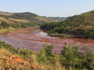 Lama e rejeitos do rompimento das barragens foram para no rio Doce (Foto: Silvério Joaquim da Luz/Divulgação)