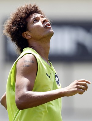 Willian Arão Botafogo (Foto: Vitor Silva / SSPress)