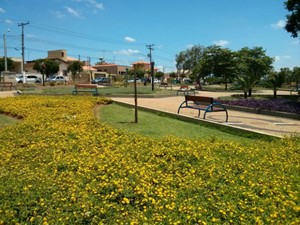 Flores e árvores deixam o Centro de Cerquilho agradável (Foto: Cláudio Nascimento / TV TEM)