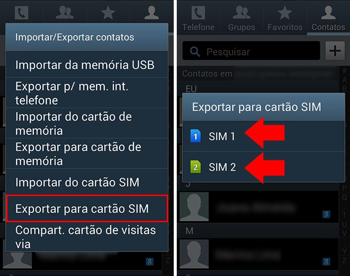 Escolha o chip para o qual quer enviar sua agenda (Foto: Reprodução/Paulo Alves)