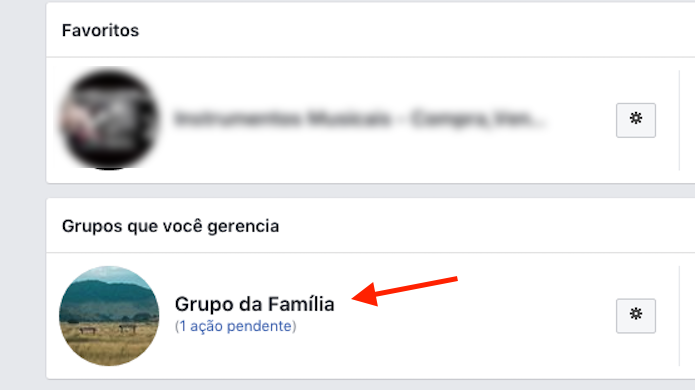 Ação para acessar o grupo pessoal que será editado no Facebook (Foto: Reprodução/Marvin Costa)