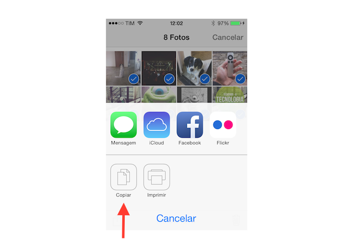 Copiando as imagens selecionadas no iOS (Foto: Reprodução/Marvin Costa)