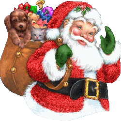 Papai Noel (Foto: Arquivo Google)