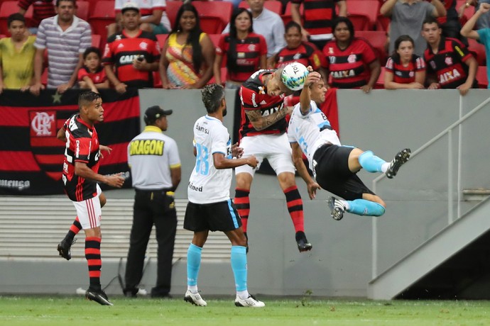 Flamengo x Grêmio (Foto: Agência Estado)