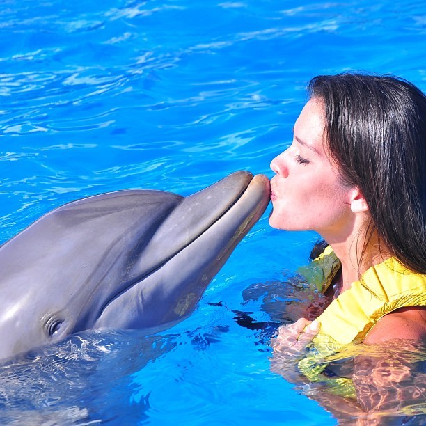 Ex-BBB Talula com golfinho em Cancun, no México (Foto: Instagram/ Reprodução)