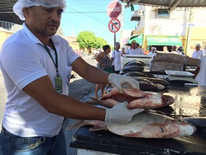 Fiscalização de pescados na Praça do Peixe em Petrolina (Foto: Paulo Ricardo Sobral/ TV Grande Rio)