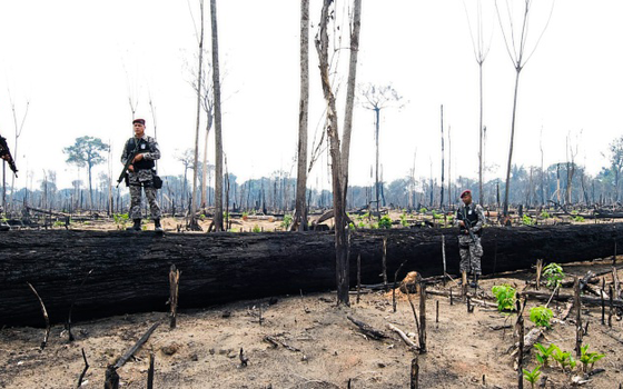 PARÁ Agentes da Força Nacional de Segurança flagram desmatamento ilegal dentro da Floresta Nacional de Jamanxim (Foto:  ANTONIO SCORZA/AFP)