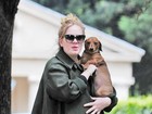 Prestes a dar à luz, Adele passeia com seu cachorro em Londres
