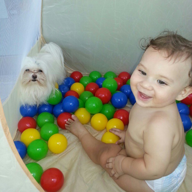 Gabriel, filho de Priscila Pires, se diverte em casinha de bolinhas (Foto: Reprodução/ Instagram)