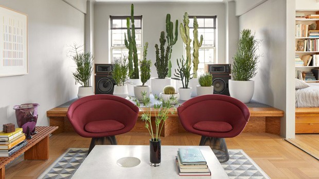 Décor do dia: jardim de cactos e suculentas na sala de estar (Foto: Divulgação) Décor do dia: jardim de cactos e suculentas na sala de estar (Foto: Divulgação)
