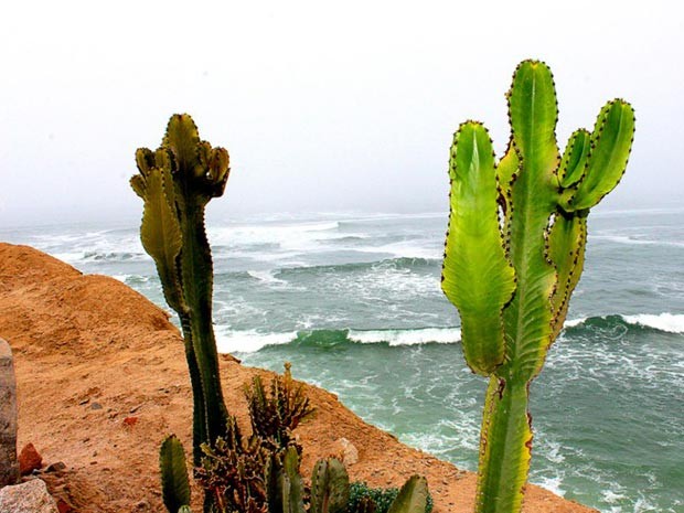 Punta Hermosa está localizado 42 km ao sul do centro da cidade de Lima (Foto: Barbara Becker/VC no G1)