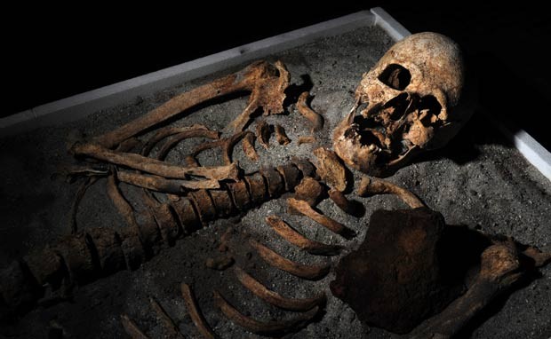 Esqueleto está em exposição em museu em Sófia. (Foto: Nikolay Doychinov/AFP) Esqueleto está em exposição em museu em Sófia. (Foto: Nikolay Doychinov/AFP)