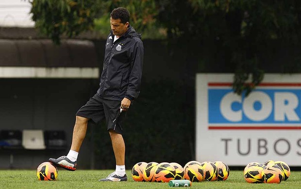Claudinei Oliveira, treinador do Santos (Foto: Ricardo Saibun/Divulgação Santos FC)