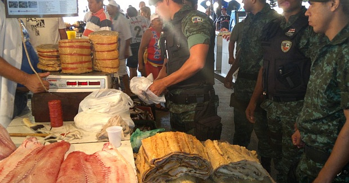 G Quilos De Pescado E Carne De Ca A S O Apreendidos Em Feira No