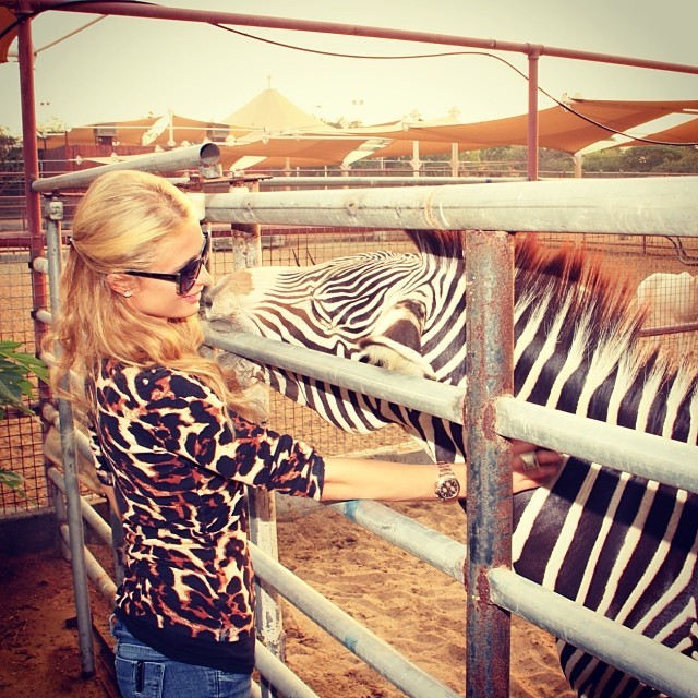 Paris Hilton com zebra (Foto: Reprodução/Instagram) Paris Hilton com zebra (Foto: Reprodução/Instagram)