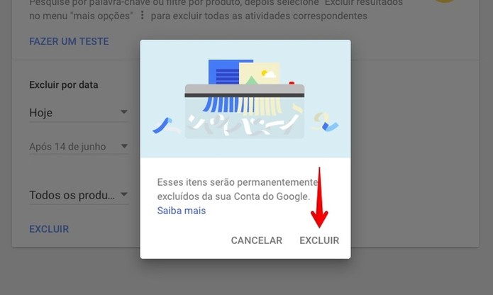 Confirme que deseja apagar o histórico (Foto: Reprodução/Helito Bijora) Confirme que deseja apagar o histórico (Foto: Reprodução/Helito Bijora)