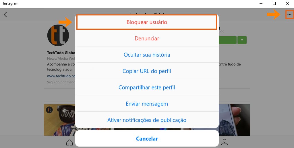 Bloqueie o usuário incômodo no Instagram (Foto: (Foto: Reprodução/Barbara Mannara)) Bloqueie o usuário incômodo no Instagram (Foto: (Foto: Reprodução/Barbara Mannara))