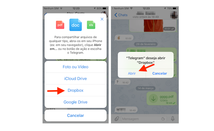 Acessando o Dropbox através do Telegram para iPhone (Foto: Reprodução/Marvin Costa)