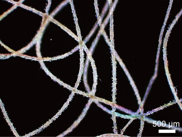 Imagem microscópica mostra fibra criada com a técnica (Foto: Equipe de pesquisa de Shoji Takeuchi/Universidade de Tóquio)