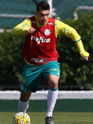 Moisés Palmeiras (Foto: Cesar Greco / Ag. Palmeiras / Divulgação)
