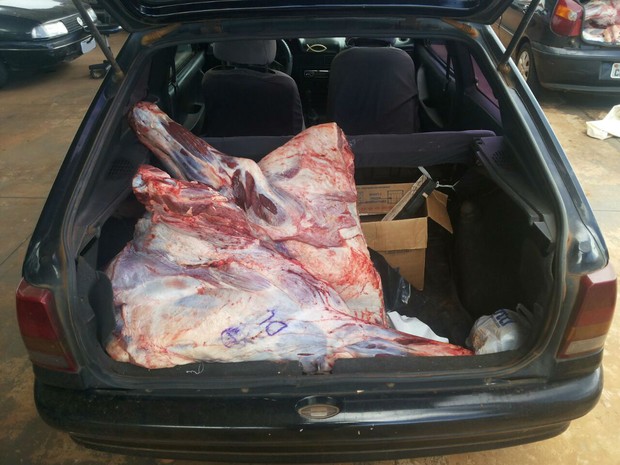 Polícia Civil apreendeu 16,7 toneladas de carne após saque a caminhão em Costa Rica, MS (Foto: Divulgação/Polícia Civil)