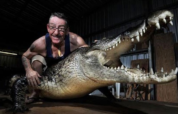 Em 2011, um colecionador Queensland pagou 20 mil dólares australianos (R$ 41,7 mil) para ter um crocodilo de 4,5 metros de comprimento empalhado. O réptil foi empalhado pelo taxidermista australiano Mick Pitman. O colecionador colocou crocodilo na sala de estar de sua casa (Foto: Reprodução)