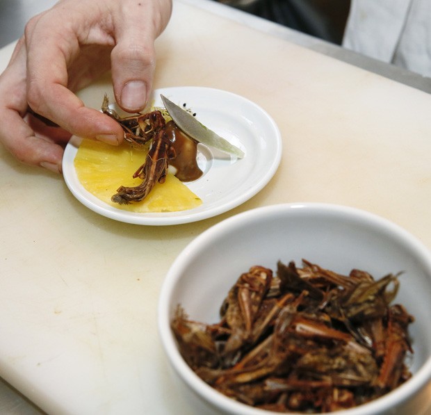 Entre os ingredientes dos pratos, há gafanhotos, minhocas, besouros e escorpiões (Foto: Patrick Kovarick/AFP)