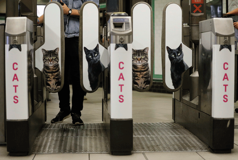 Resultado de imagem para imagens de gatos no metro de londres